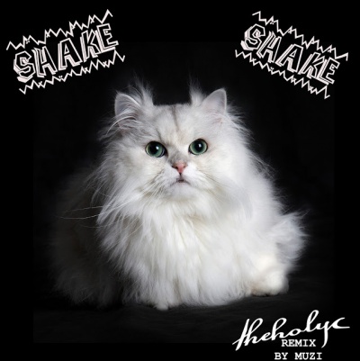 Theholyc - Shake Shake